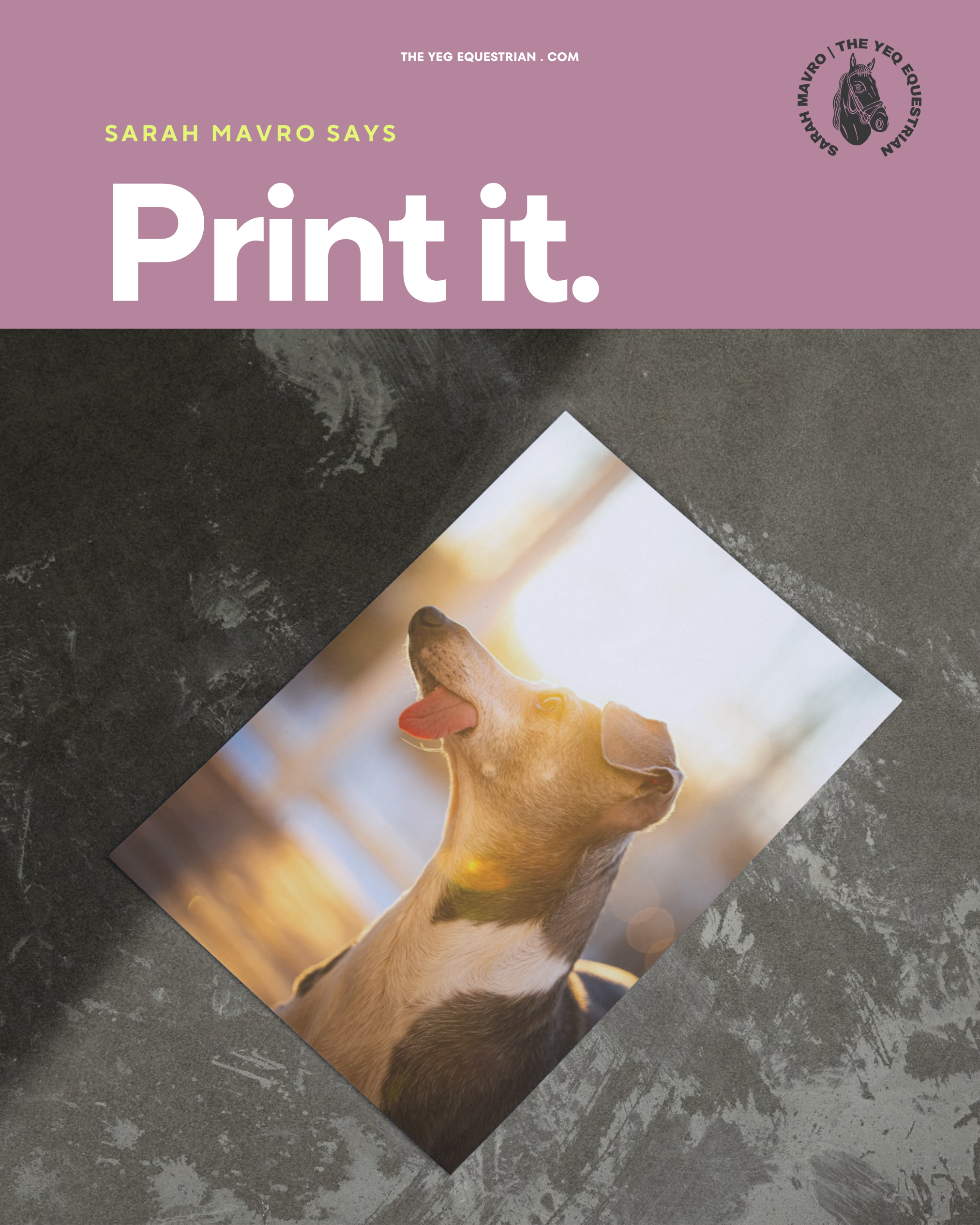 Loose Print Bundle