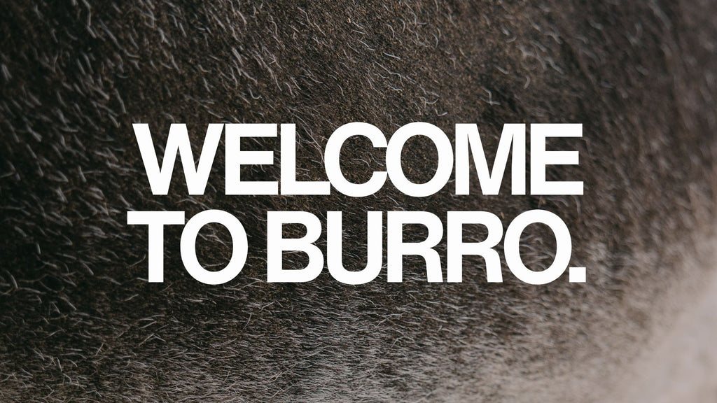 Burro Steve Sponsorship