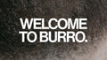 Burro Steve Sponsorship