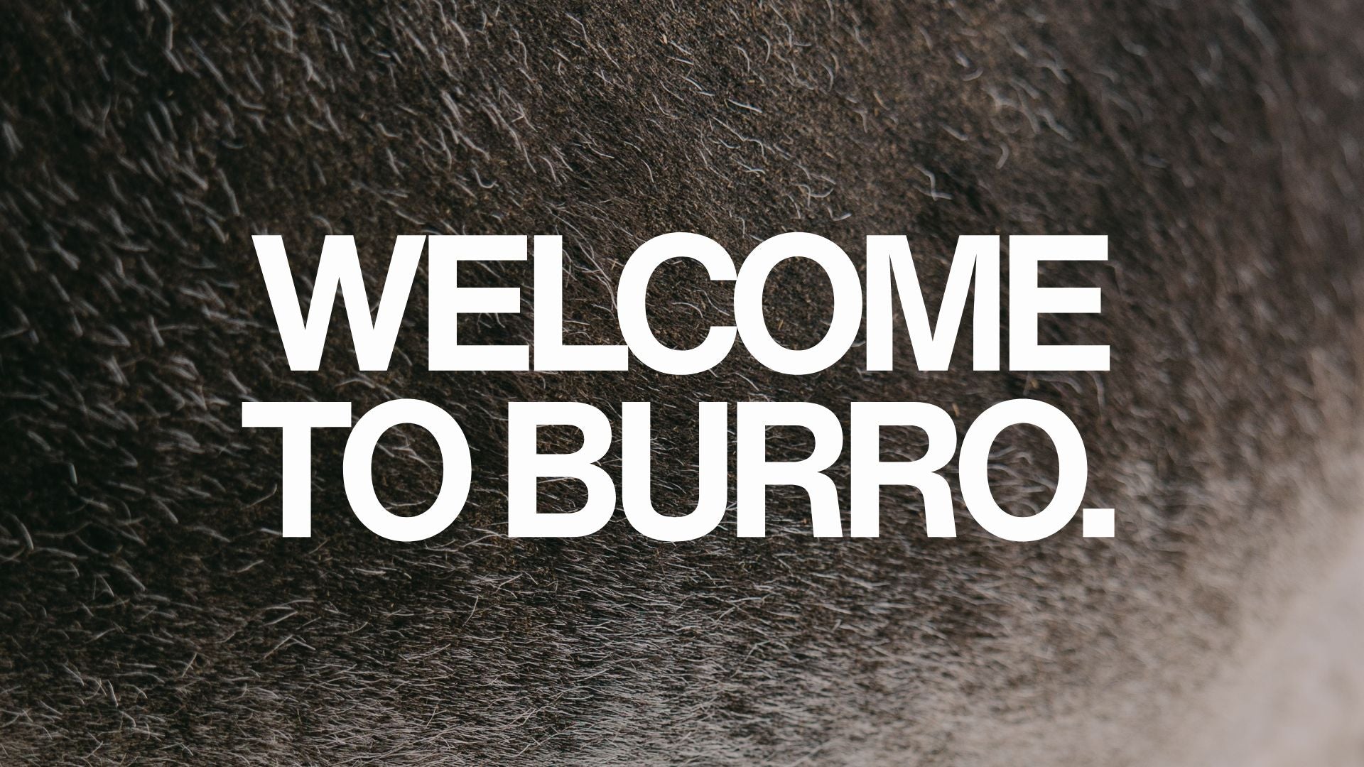 Burro Steve Sponsorship