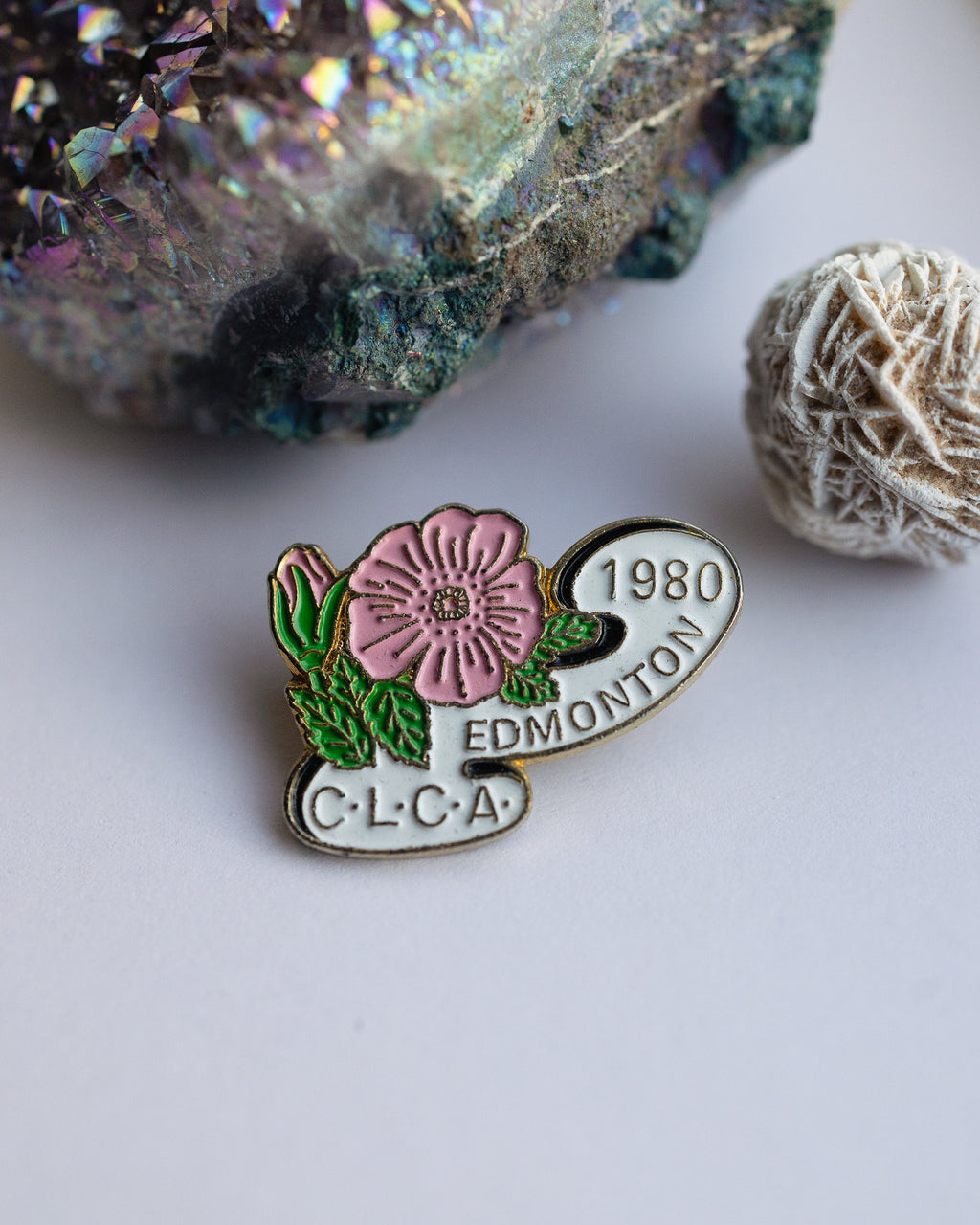 Edmonton CLCA Pin