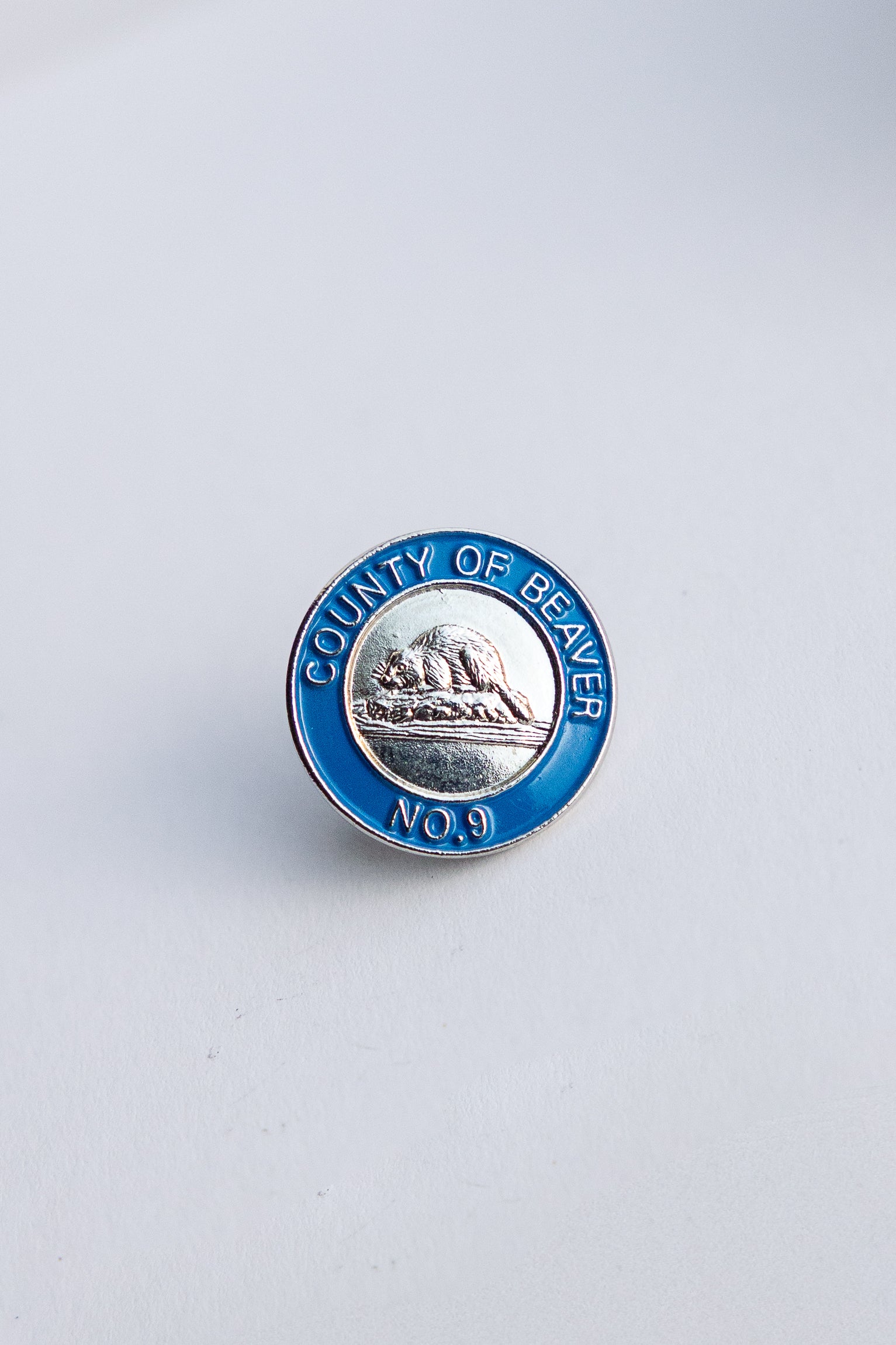 Beaver County Pin