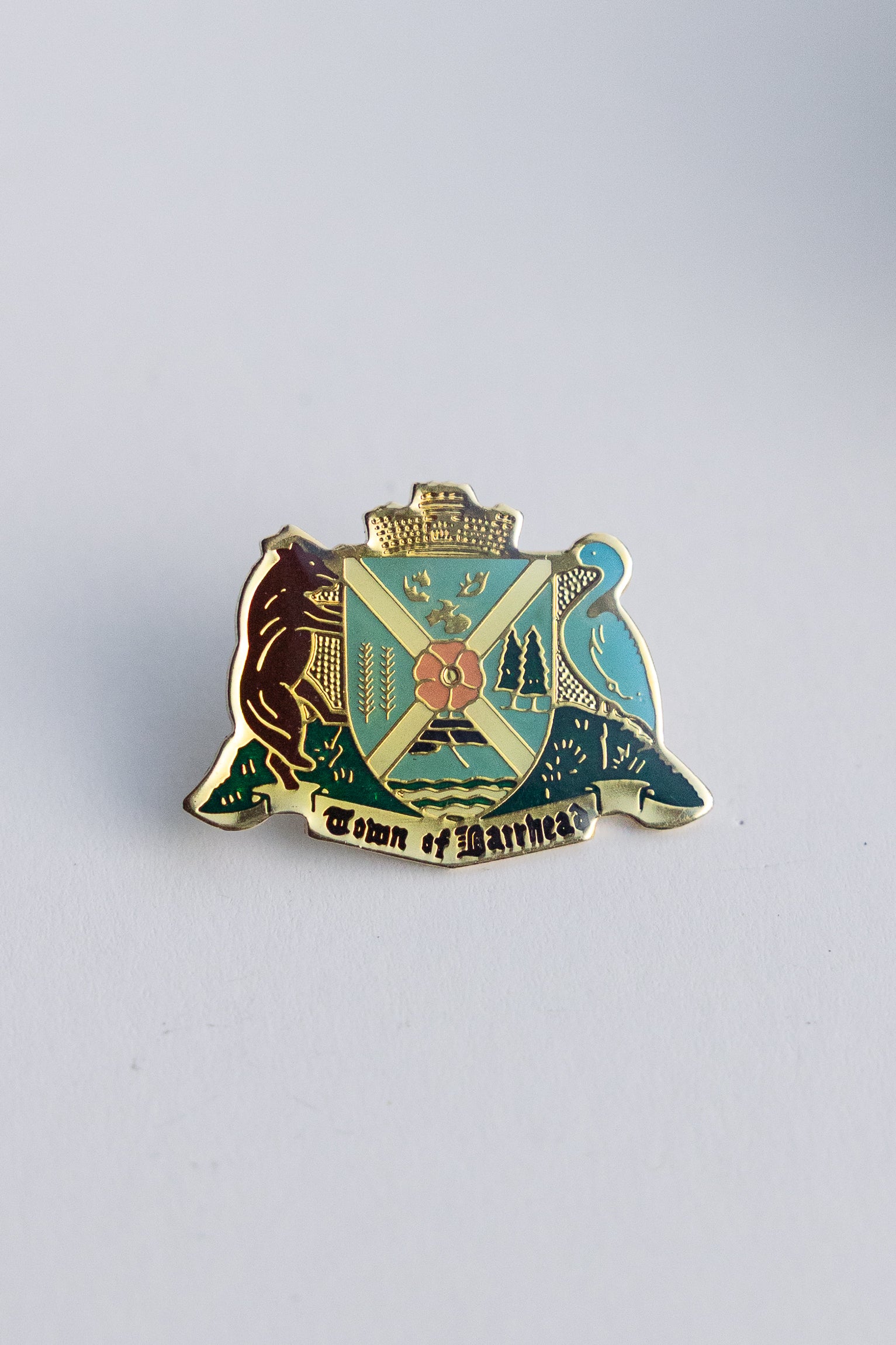 Town of Barrhead Pin